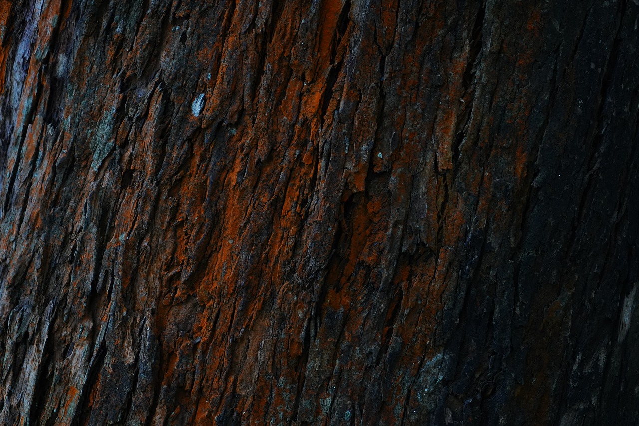 wood-grain-g900e93c25_1280